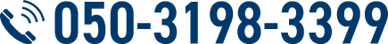 050-3198-3399